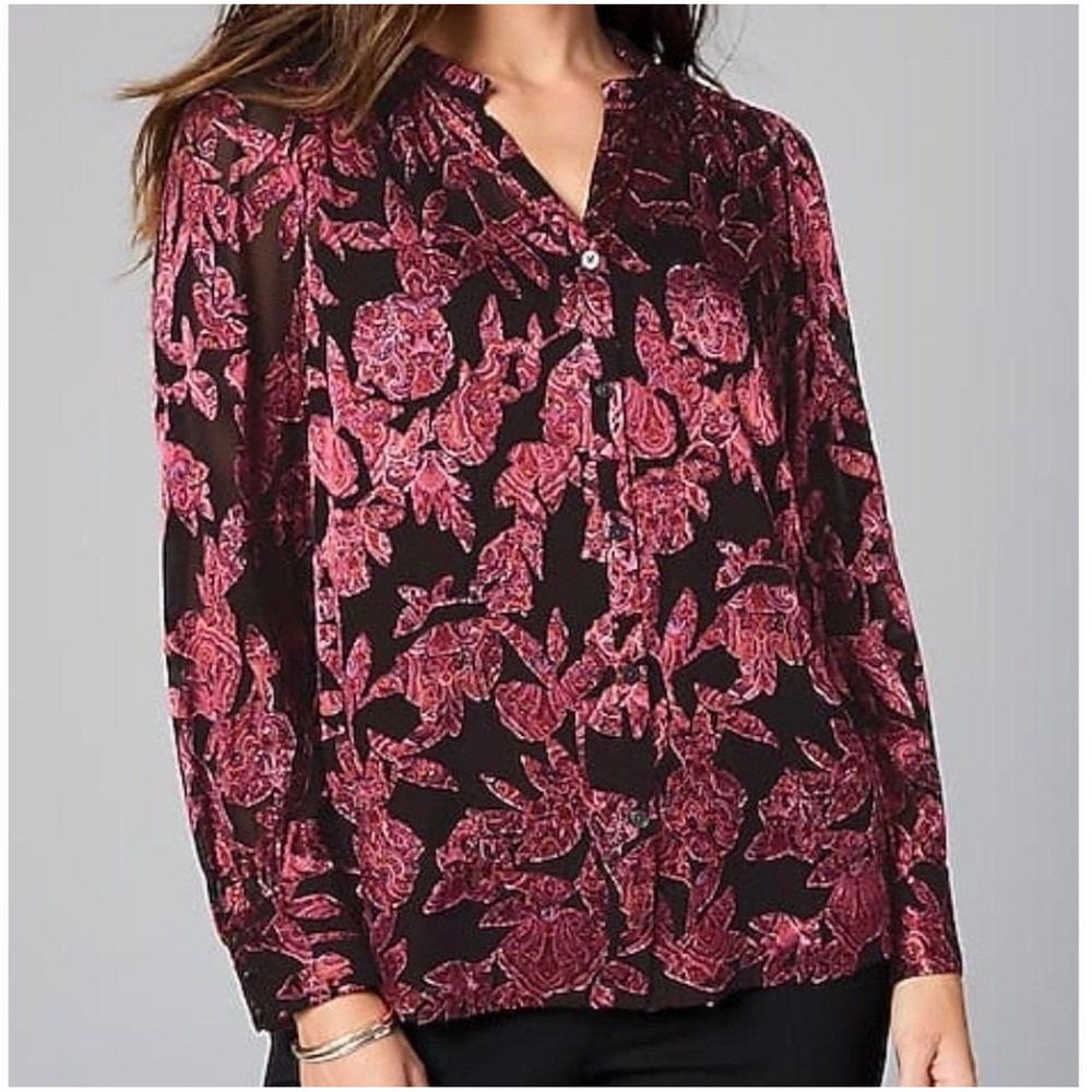 J.Jill Womens Fall Whimsical Pink Red Paisley Sheer Velvet Button Front Blouse M